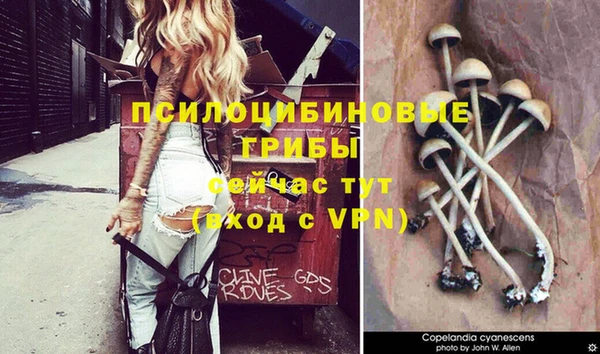 марихуана Алексеевка