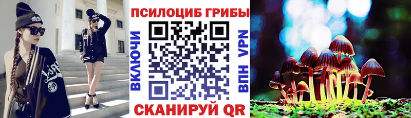 KRAKEN   Малоярославец  Галлюциногенные грибы Magic Shrooms 